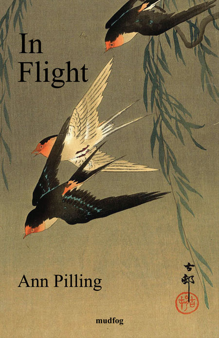 Cover image of In Flight
